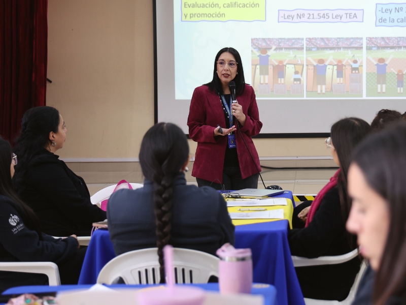 Profesionales PIE fortalecen herramientas para una educación inclusiva mediante capacitación en PAI y PACI