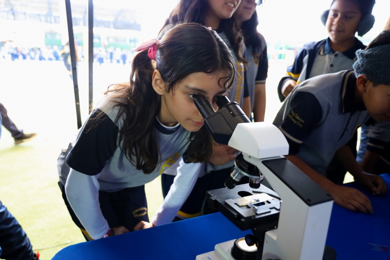 Semana de la Ciencia 2025